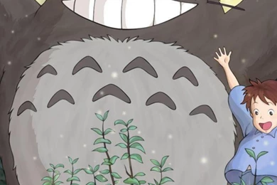 Totoro My Anime Neighbor My Neighbor Totoro HD Wallpapers, Desktop ...