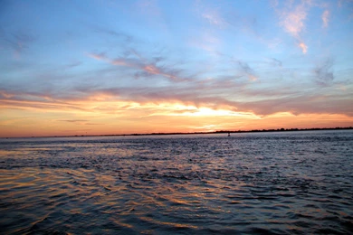 Maybe Tonight Fishing Charters   Long Island Fishing Report  Fire ...