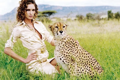 Christmas the cheetah girls wallpaper images 157 49102 Desktop ...