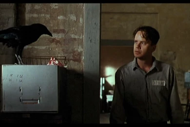 The Shawshank Redemption (id: 97212) – BUZZERG