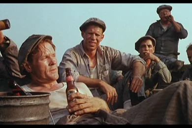 The Shawshank Redemption (1994) Frank Darabont (Niall McArdle) – A ...