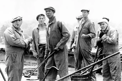 Quotes From Shawshank Redemption Brooks. QuotesGram