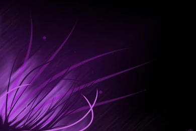 Pretty Purple Wallpapers   Wallpapers Cave