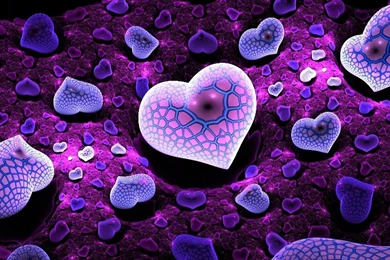 16 Pretty Purple Wallpapers For Desktop Related Wallpapers For ...