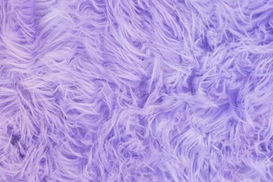 Fuzzy Purple Wallpapers   Image