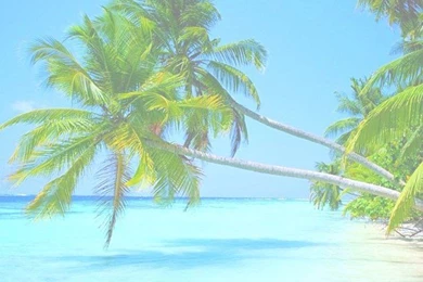 Summer Is The Beginning Of Many Amazing Things   Image