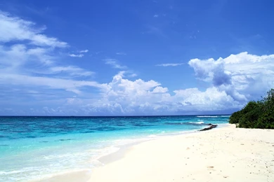 Free Beachy Carribean Wallpapers, Free Beachy Carribean HD ...