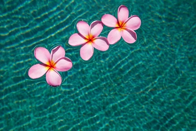 Beachy Sweet On Gili Trawangan In Lombok   Travel & Underwater ...