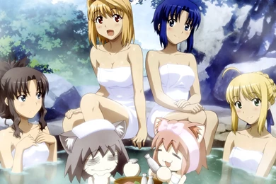 Brunestud Wallpapers