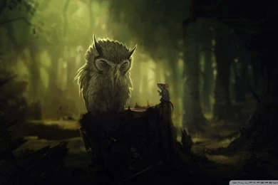 The Wise Owl HD Desktop Wallpapers : Widescreen : High Definition ...