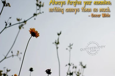 Wise Graphic Quotes Wallpapers 9.jpg Photo By Realquacker ...