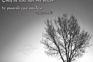 Download Wallpapers Free Quotes   Wise Graphic Quotes Wallpapers ...