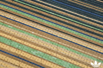 WEB – WALLPAPER – ADIDAS SKATEBOARDING