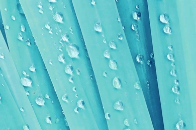 Water Drops HTC Hd Wallpapers   Best Htc One Wallpapers