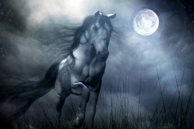 Horse Wallpapers For Computer   6 Items