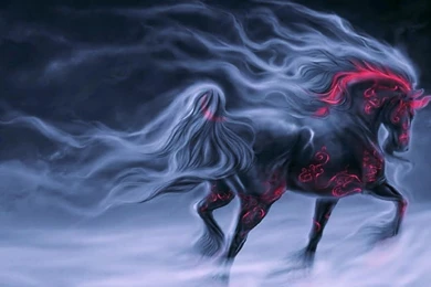 Horse Computer Wallpapers, Desktop Backgrounds