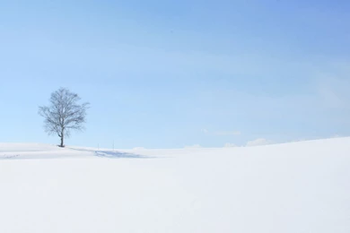 Pure White Backgrounds Hd