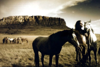 Horses Computer Wallpapers, Desktop Backgrounds