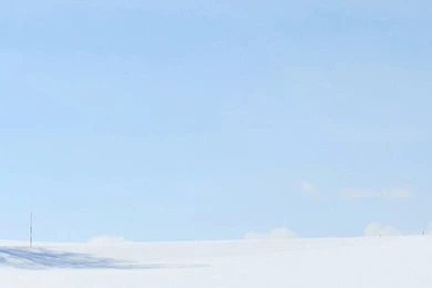 Pure White Snow iPhone 6 Wallpapers