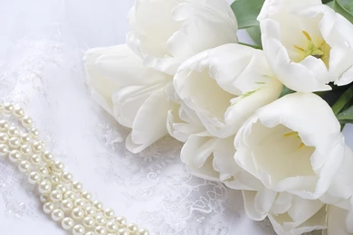 White Flowers Images