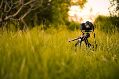 Photography Camera Full HD Pics Wallpapers 5208   Amazing Wallpaperz