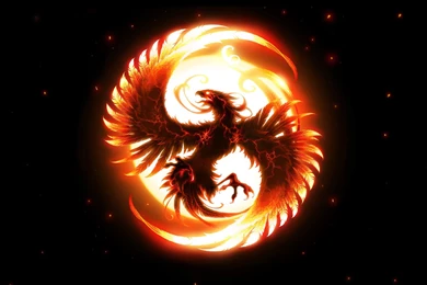 Mind blowing 10 HD 1080p(1920x1080) Wallpapers Part 1   SparkyHub