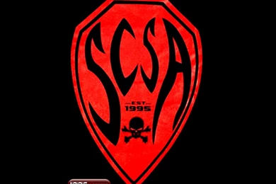 Wallpapers Rko Ww Wwewrestling Fondos Wwe Stone 1024x768