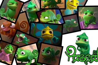 DeviantArt: More Like Pascal Wallpapers By Loveableabusive