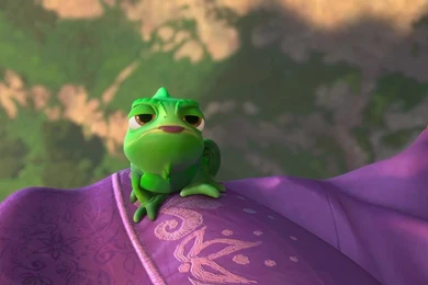 Photo 24 Of 51, Tangled   Disney