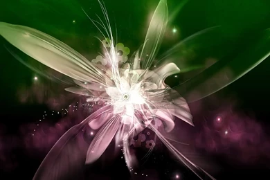 Alayx WAllpaper: 3D Wallpapers 2D Desktop Wallpapers For Computer ...