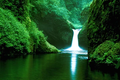 Tropical Rainforest Waterfalls Desktop Backgro Wallpapers ...