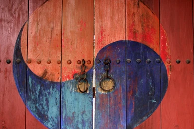 T'ai Chi: Meditative Movement