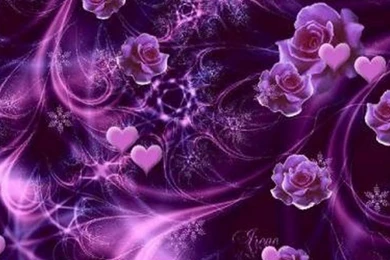 Purple Roses And Hearts Wallpapers   (