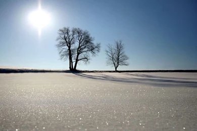 Winter Photography   Beautiful Winter Scenes Wallpaper7   Wallcoo.net