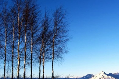 Winter Photography   Beautiful Winter Scenes Wallpaper24   Wallcoo.net