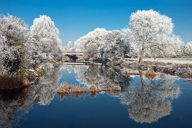 Winter And Snow Shall Prepare Everything A White Suit, They Are ...