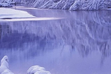 Trees, Mountain, Winter, Lake, Snow, Nature