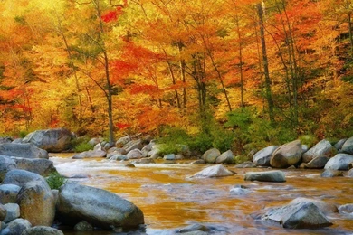 Desktop Wallpapers Hd Nature Free Download   All Wallpapers New