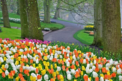 Nature Wallpapers 020, Free Desktop Wallpapers, Cool Wallpapers