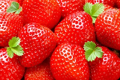 HD Strawberry Wallpapers