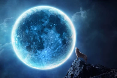 1280x800 Howling Wolf Full Moon Wallpapers