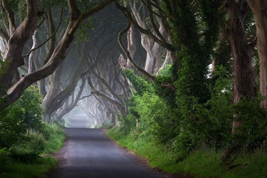 Irish Road 1280 X 800 Widescreen Wallpapers