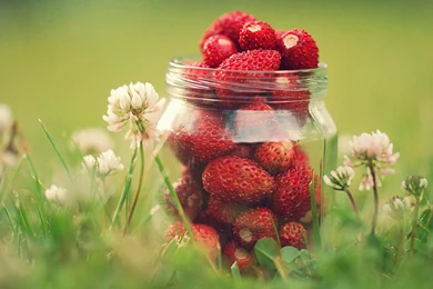 Strawberry Computer Wallpapers, Desktop Backgrounds
