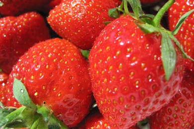 File: Strawberry HDQ.jpg