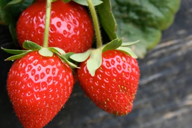 HD Cute Strawberry Fruit Wallpapers 1080p   HiReWallpapers 10210