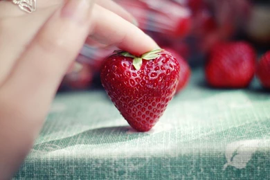 Strawberry, Leaves, Saucer, Macro, Fresh, Food, Table, Hd, Wallpapers