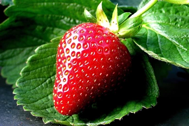 Strawberry Fruit Pics Wallpapers 3d Hd Pictures.