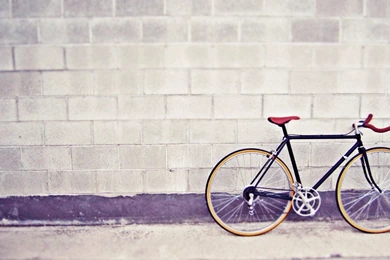 Wall, Bicycle, Street   HD Wallpapers