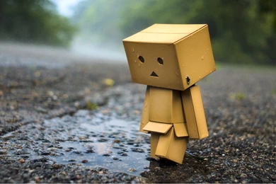 Danbo Desktop Wallpapers HD Wallpaper Backgrounds Of Your Choice