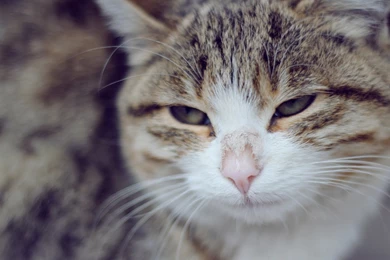 Full HD 1080p Sad Wallpapers HD, Desktop Backgrounds 1920x1080